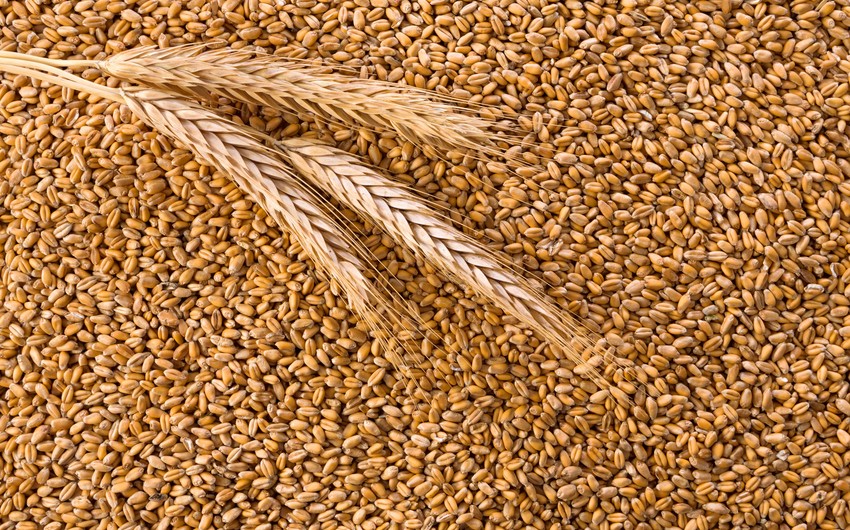 Azerbaijan exempts wheat imports to Azerbaijan for another 3 years