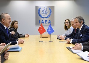 IAEA Director General, Mevlut Cavusoglu discuss situation at Zaporizhzhia NPP