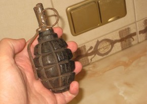 Две ручные гранаты обнаружили на территории посольства Швейцарии в Москве