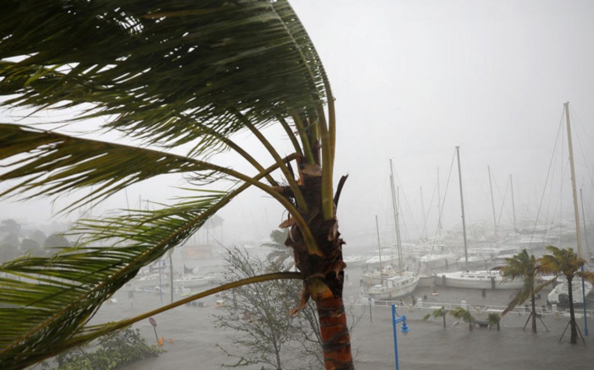 Ураган Ирма обрушился на американский штат Флорида