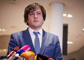 Кобахидзе прокомментировал отказ Иванишвили во встрече с помощником Госсекретаря США