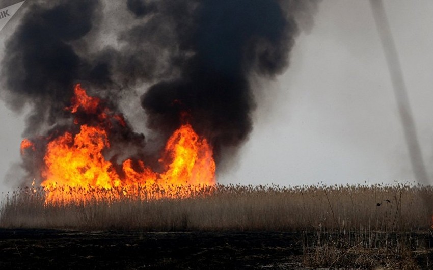 В Казахстане на берегу Каспийского моря возник крупный пожар