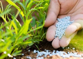 Azerbaijan significantly increases fertilizer exports