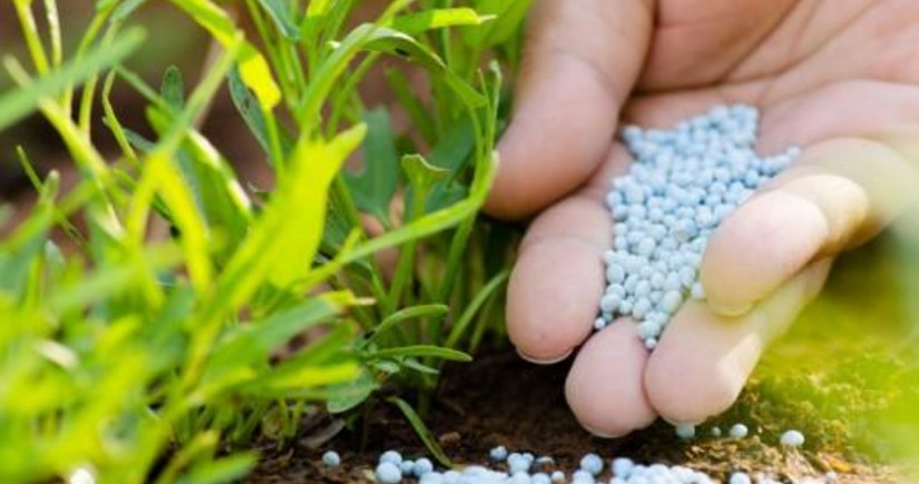 Azerbaijan significantly increases fertilizer exports