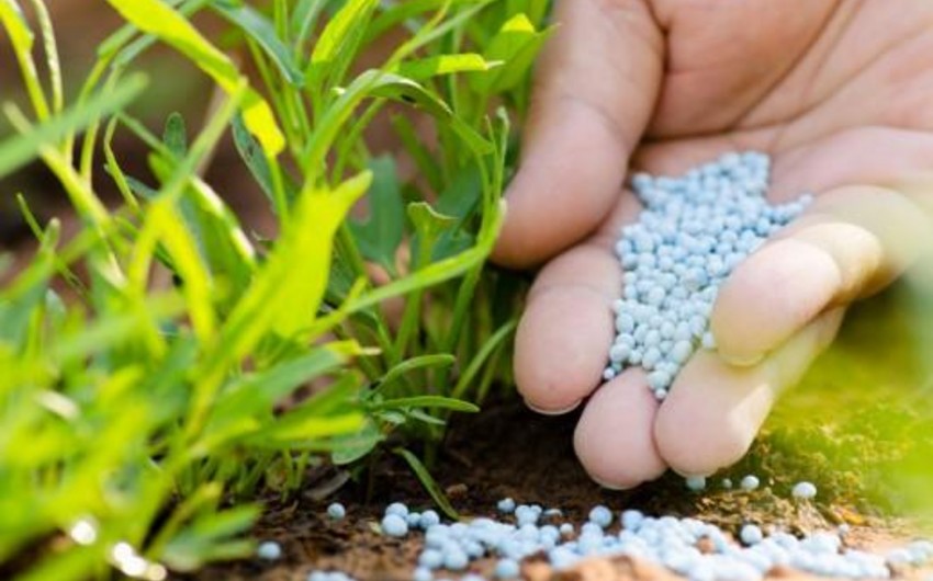 Azerbaijan significantly increases fertilizer exports