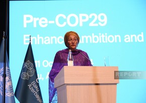 Amina Mohammed: COP29 must translate ambitions into real economic results