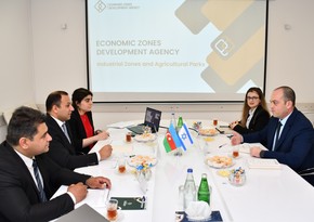 Израильские компании приглашены к участию в инвестпроектах в промпарках Карабаха 