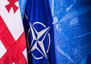 Gürcüstan NATO-nun sammitində iştirak edəcək