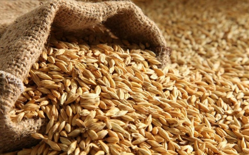Азербайджан увеличил импорт пшеницы на 13%