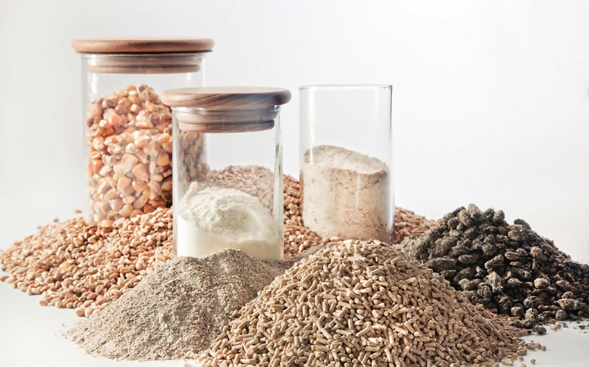 Азербайджан импортировал кормовые добавки из Кировской области