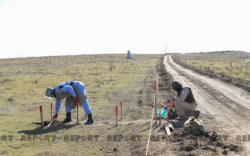 Over 900 hectares of land cleared of mines last week 