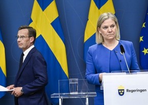 Шведская модель борьбы с коррупцией не выдерживает критики