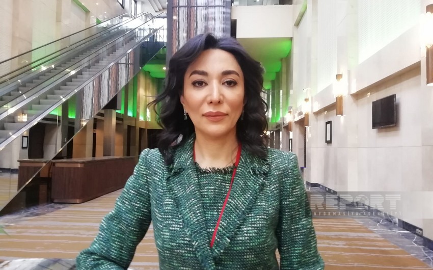 Ombudsman: World should know that illegal exploitation in Azerbaijani territories threatens region 