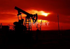 Иностранные инвесторы инвестируют в нефтехимическую отрасль Ирана 10 млрд долларов