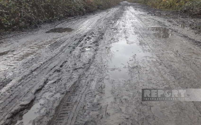 Zaqatalada yayda tozlu, qışda palçıqlı olan yol nə zaman təmir olunacaq?