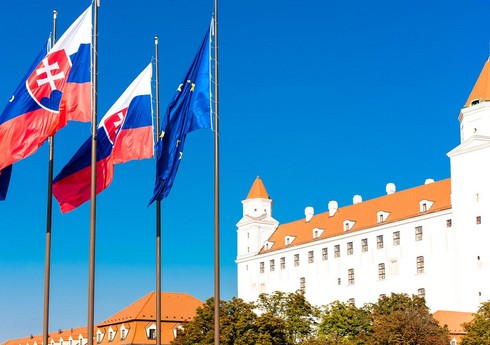 СМИ: Референдум об изменениях в конституцию Словакии признают недействительным