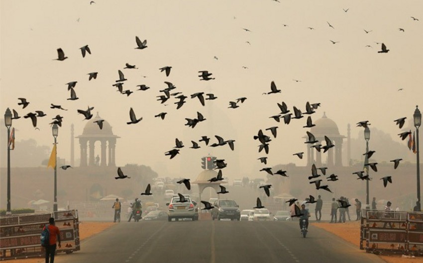 В Дели из-за загрязнения воздуха закрыли все школы до 5 ноября - ВИДЕО