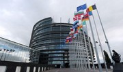 Diaspora activist: EP's resolution against Azerbaijan stems from biased position