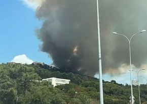 Fire breaks out in forest area in Istanbul