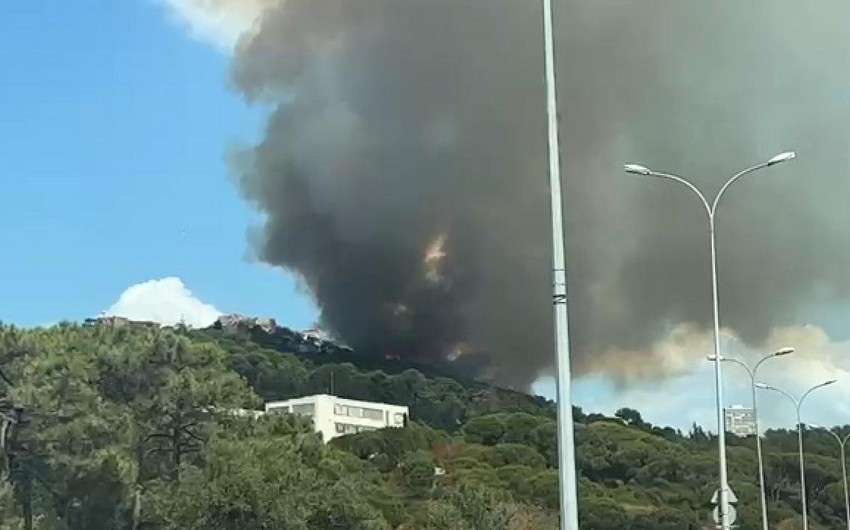 Fire breaks out in forest area in Istanbul