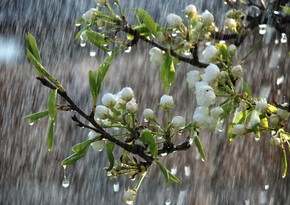 Bir sıra ərazilərə leysan xarakterli yağış, Şahdağa qar yağıb – FAKTİKİ HAVA