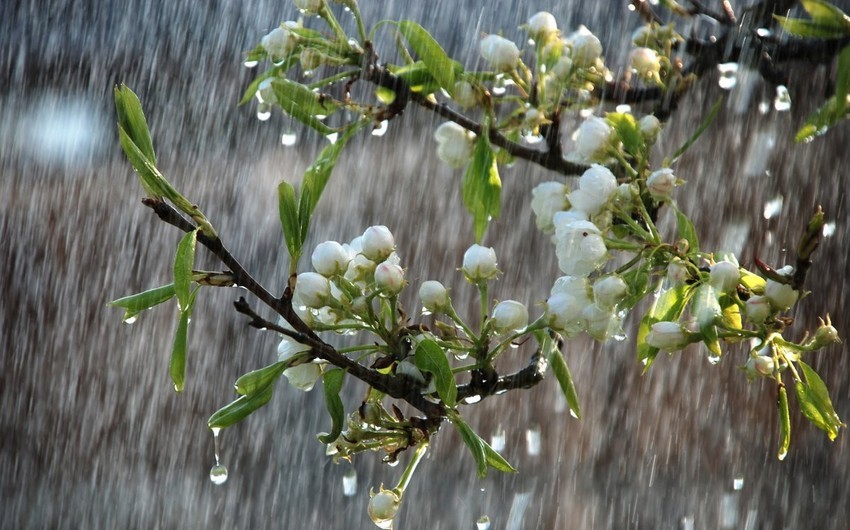 Bir sıra ərazilərə leysan xarakterli yağış, Şahdağa qar yağıb – FAKTİKİ HAVA