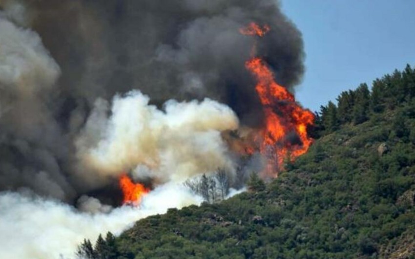 Пожар вспыхнул в лесном массиве в Турции