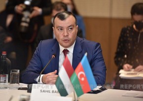 Азербайджан хочет создать совместные предприятия с Венгрией в Карабахе