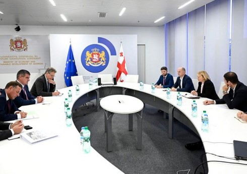 Stadler возобновил переговоры с правительством Грузии о строительстве завода
