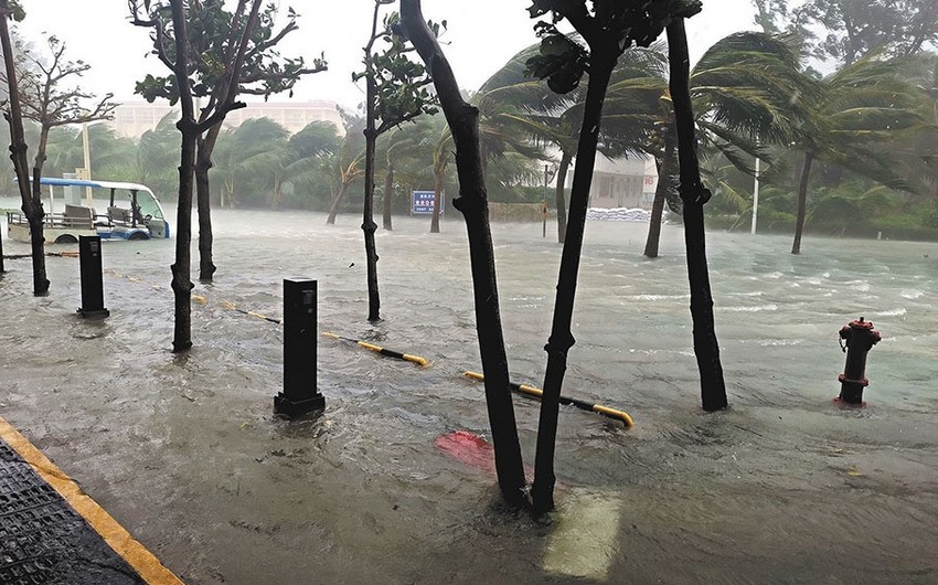 Typhoon Trami leaves 7 dead, 1 missing in China's Hainan