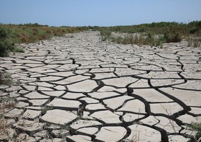 Guardian: Засуха в Европе может стать худшей за последние 500 лет      