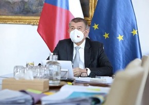 Президент Чехии принял отставку правительства