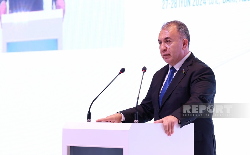 Azerbaijani MP: Environmental pollution kills millions of people every year