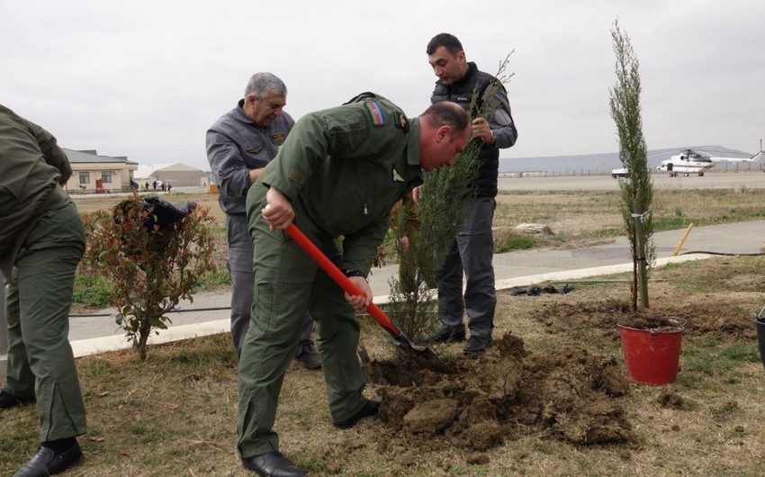 FHN-in Aviasiya dəstəsində “Heydər Əliyev İli” çərçivəsində ağacəkmə aksiyası keçirilib
