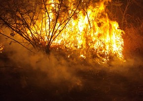 Пожар с территории Агсу перекинулся на Шамахы 