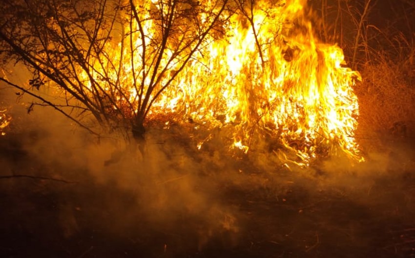 Пожар с территории Агсу перекинулся на Шамахы