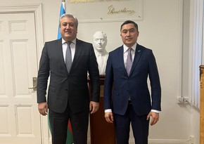 Azerbaijani ambassador to Sweden meets with Kazakh colleague