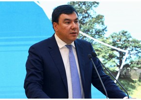 Uzbekistan minister: COP29 in Azerbaijan crucial for Central Asia's climate action