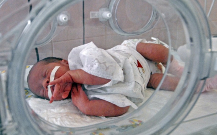 Baş pediatr: “Salyanda doğulan üçəmlərdən sağ qalanının müalicəsi azı 10 həftə davam edəcək”