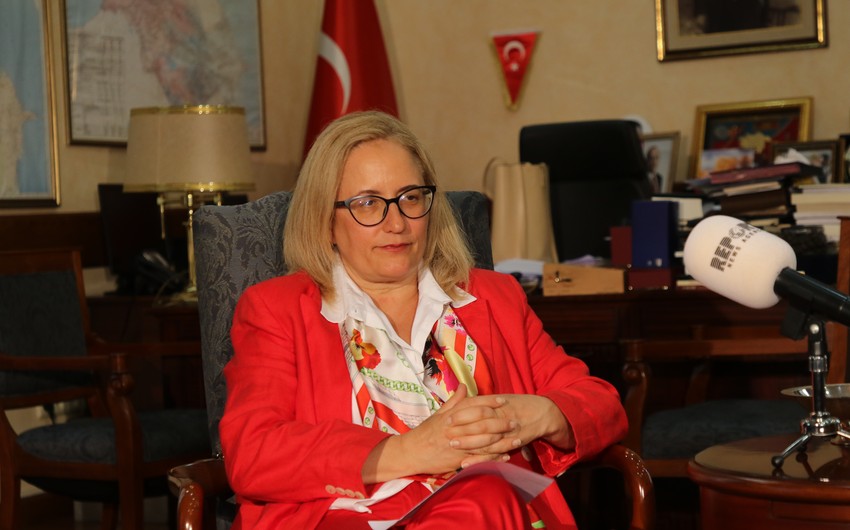 Посол Турции: Хотелось бы, чтобы Грузия присоединилась к TEKNOFEST