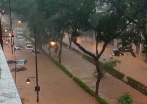 Число жертв паводка в Бразилии выросло до 35 человек