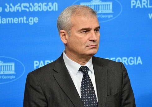В парламенте Грузии заявили, что прекращение финпомощи от США и ЕС не повлияет на граждан страны