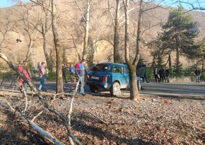 В Шеки автомобиль врезался в дерево, есть пострадавшие