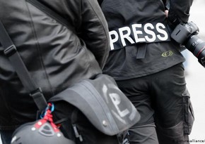 Reporters without Borders: 49 journalists  killed, 389 arrested this year