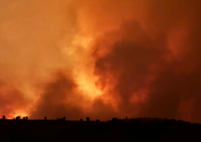 В Турции на участке между районами Чинар и Мазыдагы произошел сильный пожар, есть погибшие и пострадавшие