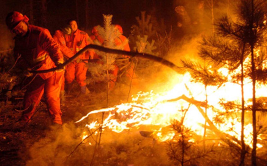 Rusiyada meşə yanğını nəticəsində 23 nəfər ölüb