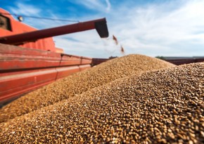 Украина экспортировала более 4 млн тонн зерновых после открытия портов