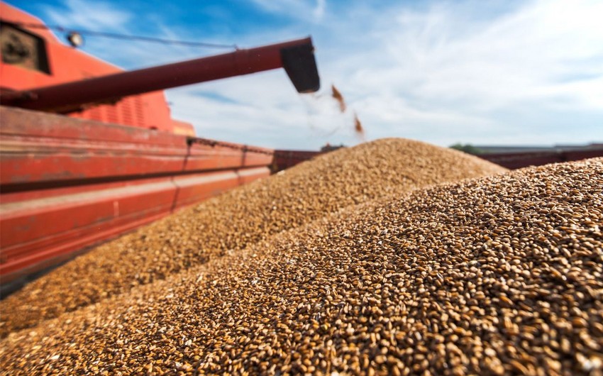 Ukraine exports over 4 million tons of grain