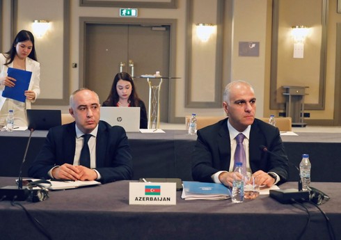 В Стамбуле прошла встреча заместителей министров стран-членов ОТГ