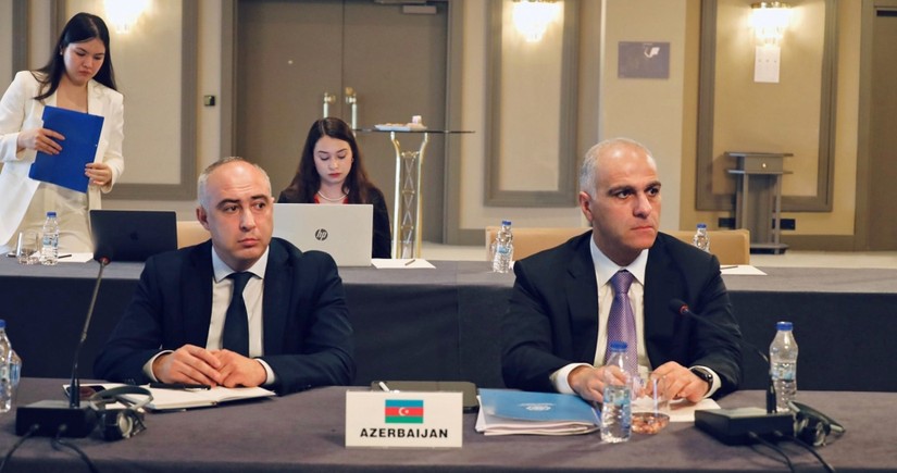 В Стамбуле прошла встреча заместителей министров стран-членов ОТГ